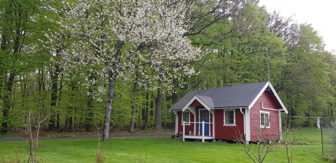 Lill Hagahus, Soederasens Nationalpark Vila Kågeröd Exterior foto