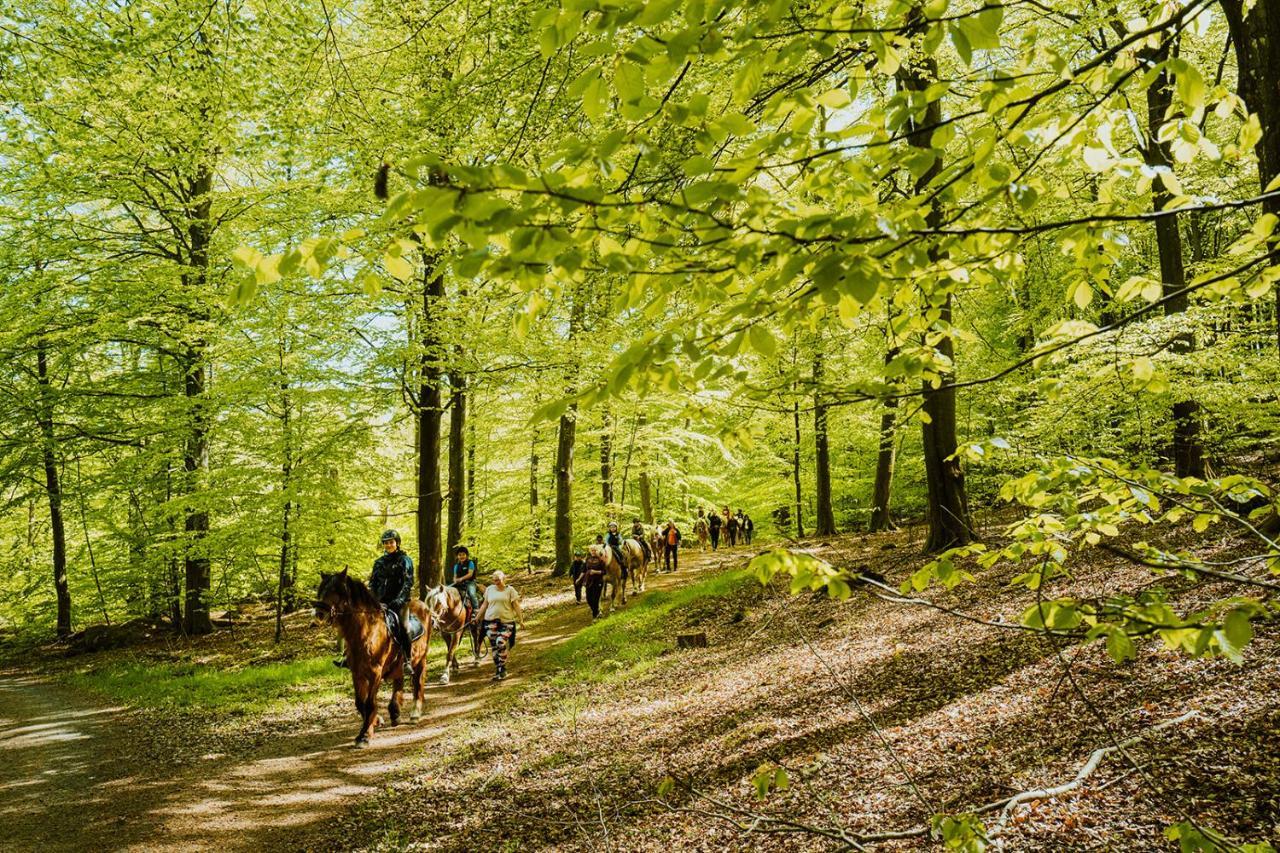 Lill Hagahus, Soederasens Nationalpark Vila Kågeröd Exterior foto